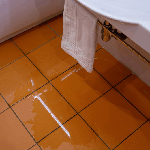 What you need to do after a sewage backup 520x520