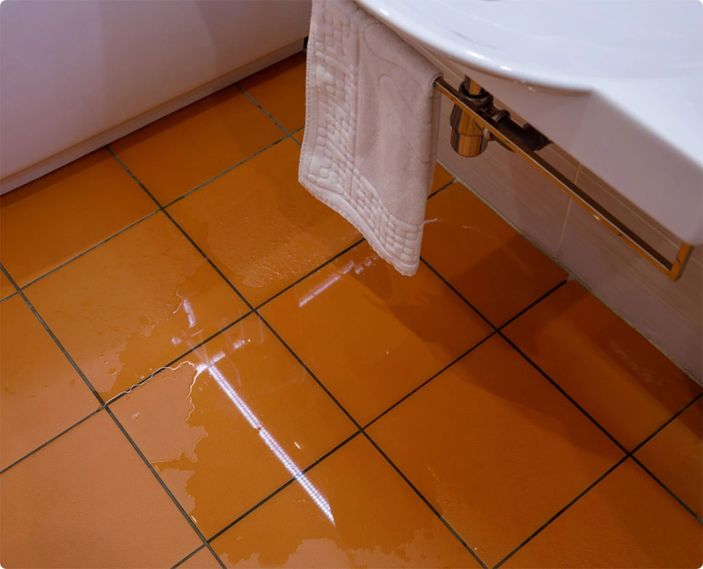 What you need to do after a sewage backup